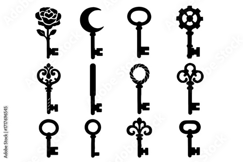 Long bent vector steampunk shaped key vintage icon rose loop
