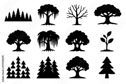 Treetop vector forest tree wide pine spreading hanging vines set silhouetted icon