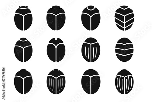 Insect beetle vector dorsal structure top shell oval armor icon