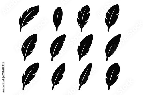Eagle quill central feather shaft upward icon arc vector icons curved plume
