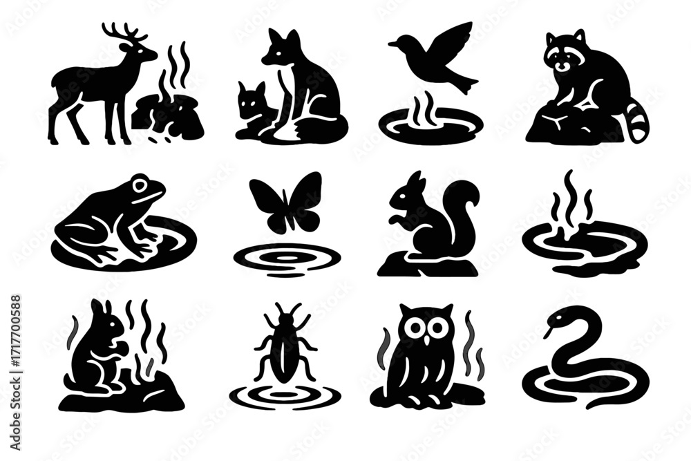 Fototapeta premium Snake raccoon rock hot fox edge frog springs icon vector stone wildlife
