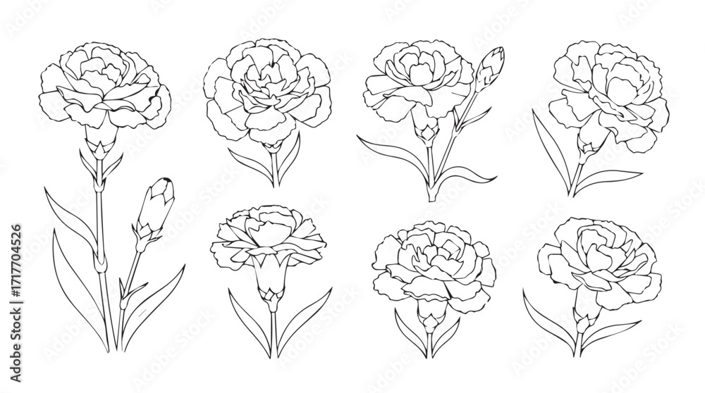 Φωτογραφία Botanical line art collection of carnation flowers in detailed sketch style silh