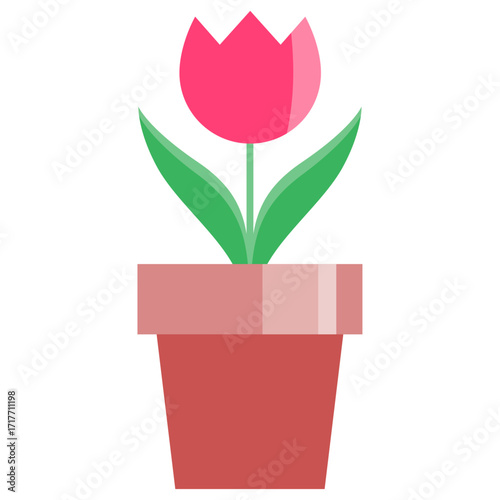 Illustration of a red tulip in a potted plant, shown in color. Useful for kindergarten signs, gardening, spring decorations, and flower bed illustrations.