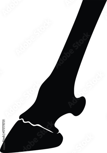 Dynamic Vector Illustration of an Animal Bone, Captured in High Resolution, Showcasing Artistic Design in a Minimalist Black Silhouette Style for Graphic Usage