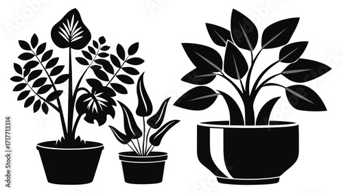 Vector art of collection of potted plant silhouette, featuring various houseplants in different pots for indoor decoration