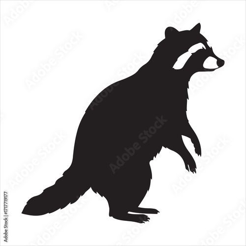  Silhouette of a raccoon standing upright with distinctive mask and ringed tail