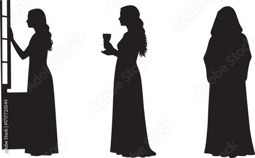Elegant and mysterious silhouettes of women in flowing gowns, captured in three distinct dramatic poses against a stark background, evoking classic historical or fantasy narratives