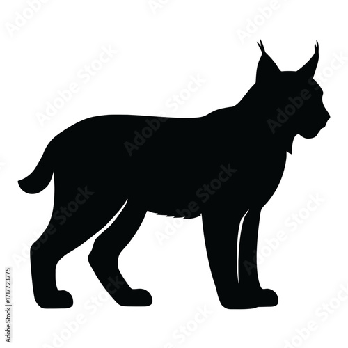 A black and white drawing of a cat. The cat is standing on its hind legs and has a black and white striped tail. Vector silhouette.