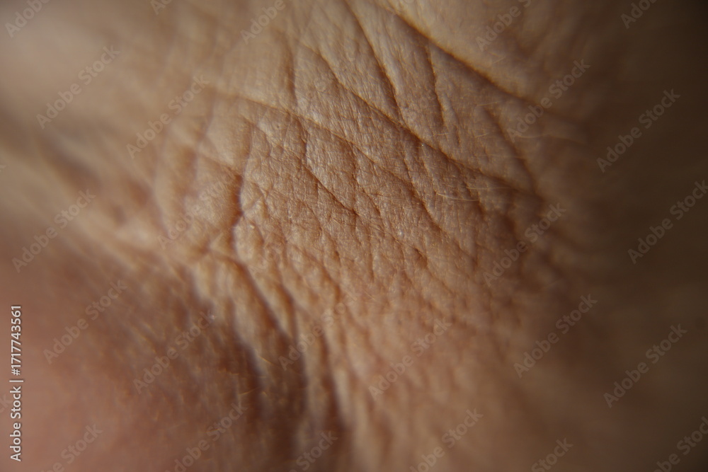 Fototapeta premium Human skin texture showing aging process macro
