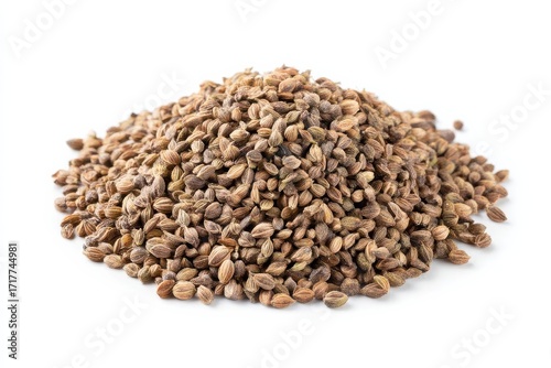 Perfectly preserved celery seeds, ready for sowing.