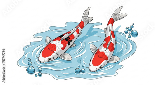 Two koi fish swimming gracefully in clear water, their vibrant red and white patterns creating a serene and elegant scene