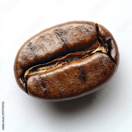 Close up of a single coffee bean showcasing its deep color and organic texture