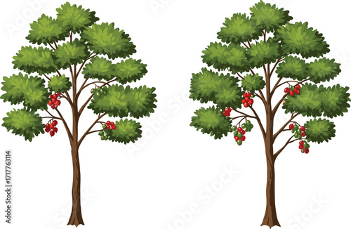 Cartoon fruit trees illustration, green foliage with red fruits, agriculture concept, harvest season, farming education, botanical drawing, nature design, orchard artwork