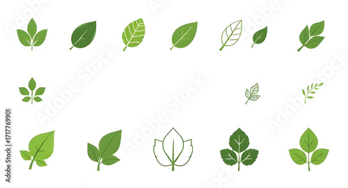 leaf, leaves, set, icon, icons, plant, plants, foliage, botanical, nature, green, natural, eco, ecology, environment, organic, fresh, garden, greenery, forest, growth, spring, summer, minimal, simple,