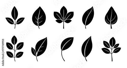 leaf, leaves, set, icon, icons, plant, foliage, botanical, nature, green, natural, eco, ecology, environment, organic, fresh, garden, greenery, forest, growth, spring, summer, minimal, simple, clean, 