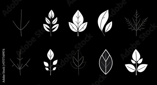 leaves, leaf, set, icon, icons, foliage, plant, botanical, nature, natural, green, eco, ecology, environment, organic, fresh, freshness, garden, greenery, forest, growth, spring, summer, simple, minim