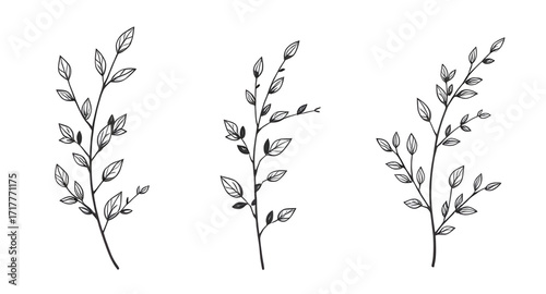 botanical illustration, wildflowers silhouette, aesthetic plants vector, black botanical vector, nature decor, landscape element, vintage plant silhouettes, leaf pattern vector, silhouette collection,