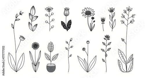 foliage silhouette, leaf silhouette, nature vector, black plant shapes, tropical leaves silhouette, grass silhouette, tree branch silhouette, floral silhouette, garden plants vector, plant clipart, na