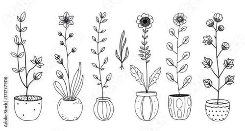 botanical silhouettes, foliage silhouette, leaf silhouette, nature vector, black plant shapes, tropical leaves silhouette, grass silhouette, tree branch silhouette, floral silhouette, garden plants ve