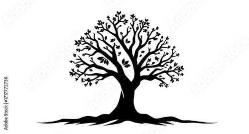 tree silhouette, cedar tree silhouette, birch tree silhouette, cartoon tree silhouette, realistic tree vector, decorative tree silhouette, tropical tree vector, jungle tree silhouette, deciduous tree 