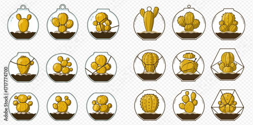 Collection of stylized golden cacti and succulents in glass terrariums on a transparent background.