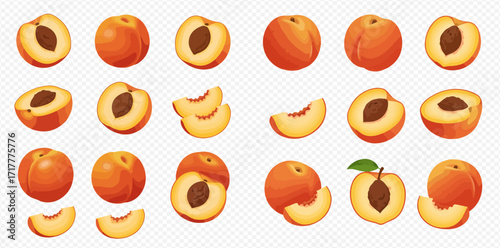 Illustration of whole, halved, and sliced peaches on a transparent background.