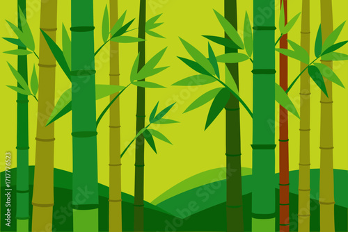 bamboo forest background