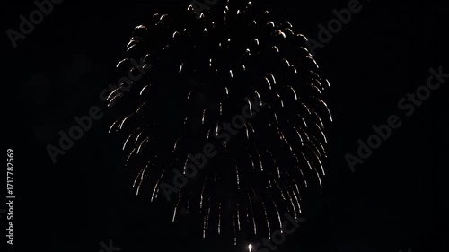 Spectacular Fireworks Display Bursting Against the Night Sky - Celebration