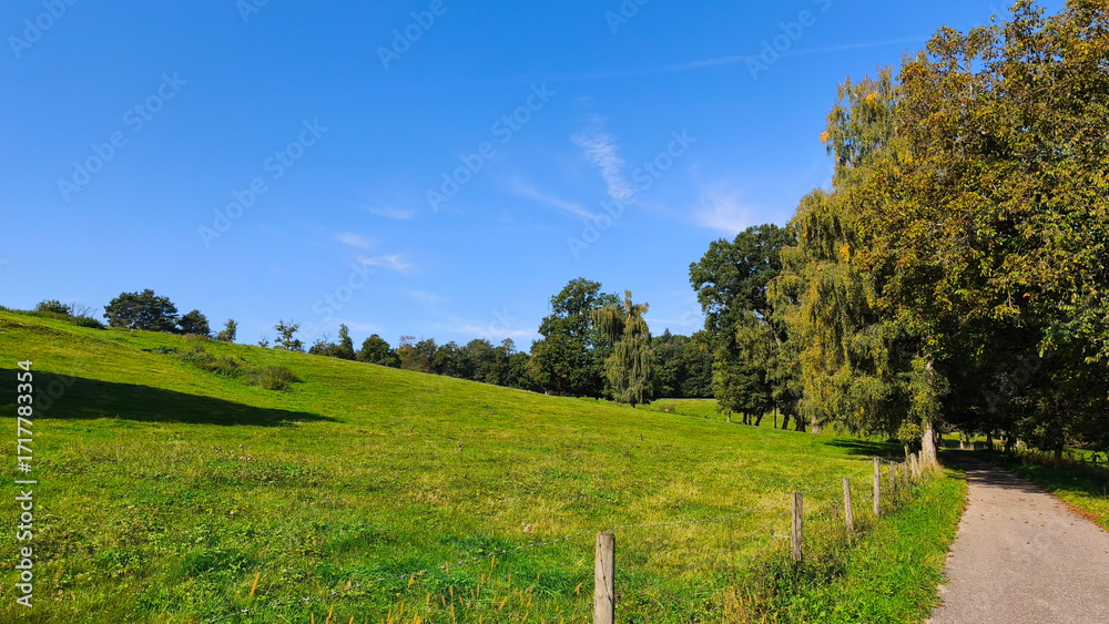 Naklejka premium Lush green meadow with clear blue sky and tree-lined path