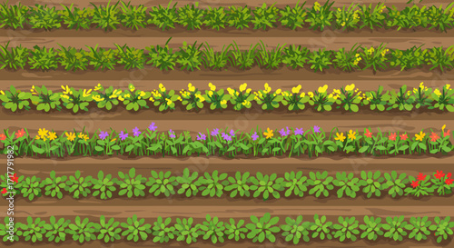 Top Down View of Diverse Cover Crops Field