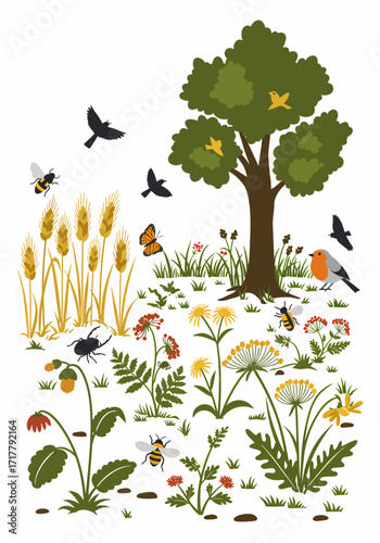 Biodiversity in a Regenerative Farm Ecosystem