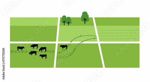 Rotational Grazing Illustration with Cattle Movement