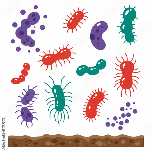 Variety of Soil Microorganisms and Bacteria