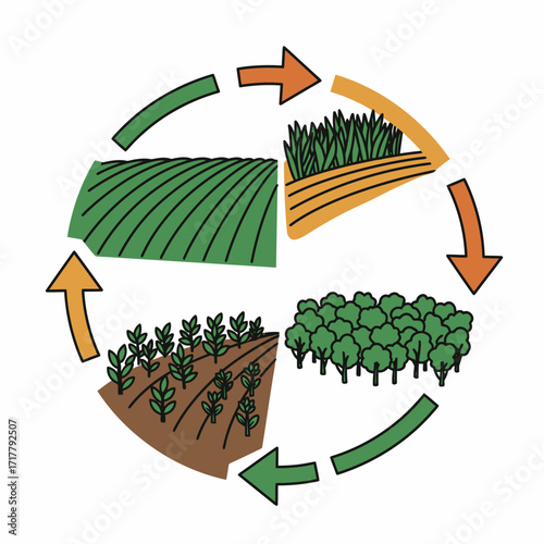 Regenerative Agriculture Cycle Rotation