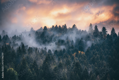 Misty mountain landscape