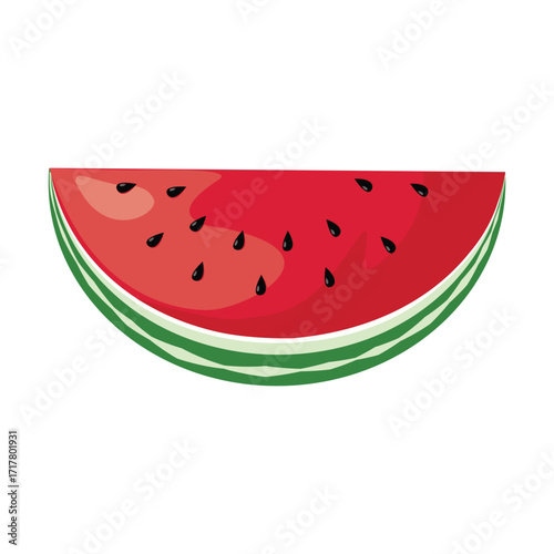 watermelon fruit Illustration over white background. colorful design. vector illustration