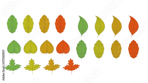 5 leaves variant vector set with 4 color combination