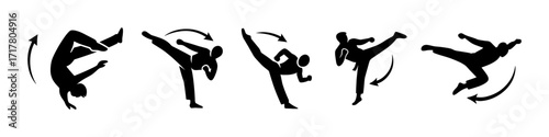 martial arts kicks silhouettes ,roundhouse, side kick, high kick, spin kick, strike