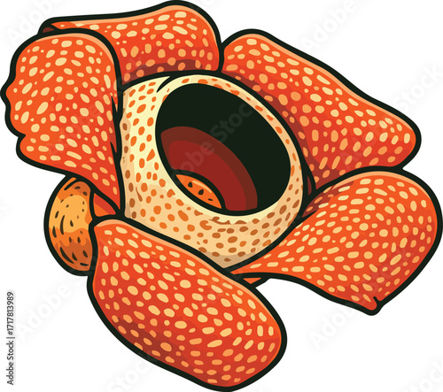 Vector illustration of rare Rafflesia arnoldii flower, exotic tropical bloom with unique petals.