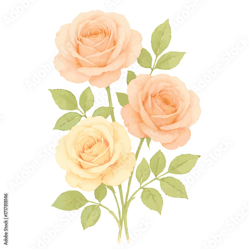 "Elegant Watercolor Rose Bouquet Illustration with Peach and Yellow Roses, Romantic Floral Design, Hand-Painted Botanical Artwork, Vintage Flower Clipart, and Soft Pastel Floral Arrangement. This deli