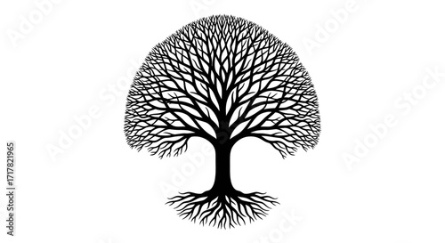 Stylized Black Tree Illustration on White Background