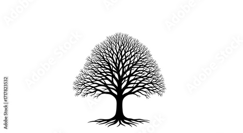 Elegant Tree Silhouette Artistic Natural Form Isolated on White Background