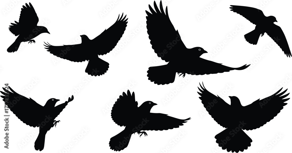 Obraz premium Black bird silhouette flying vector illustration design set