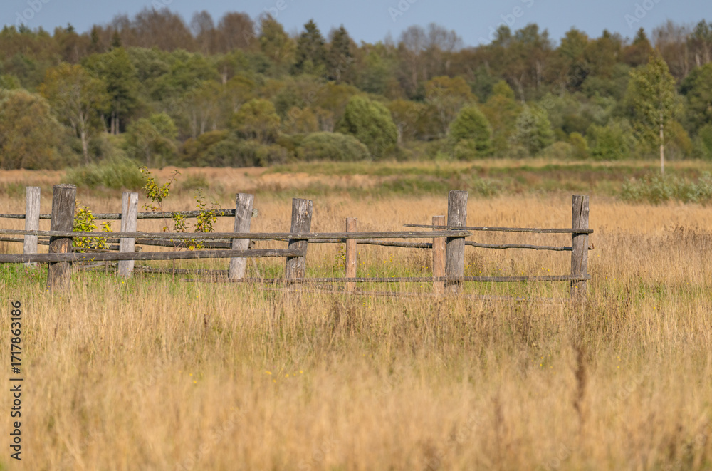 Fototapeta premium old wooden fence in a field