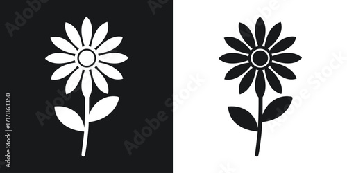 Black and white daisy flower silhouette illustration featuring two opposite color backgrounds.