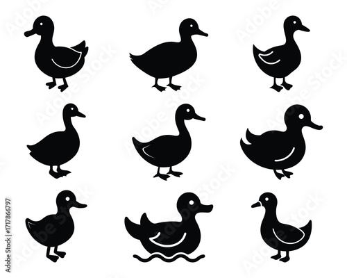 Silhouetted duck illustrations set in various poses for use in design and creative projects