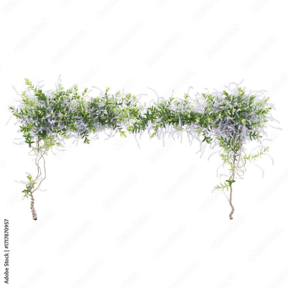 Fototapeta premium Close up creeper isolated in 3d rendering