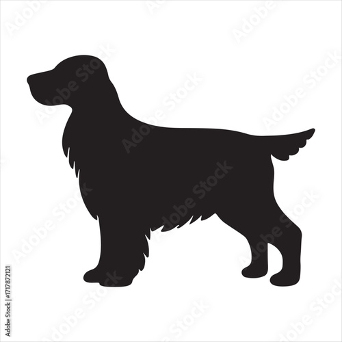 Silhouette of a standing english springer spaniel dog with long ears and feathered legs on a white background