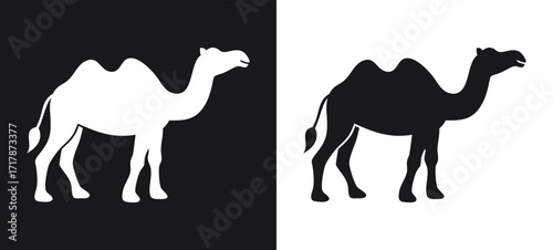 Silhouette of a camel in a dual tone composition with positive and negative space