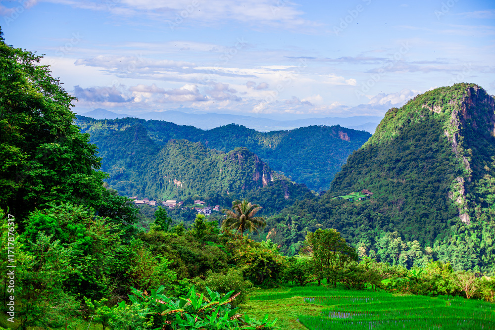 Obraz premium The natural background of nature in rural communities with rice fields and grasslands near large mountains is a beauty that can be found in northern Thailand such as Chiang Mai, Chiang Rai.